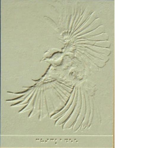 Tactile graphic of chickadee Tactile graphic of chickadee