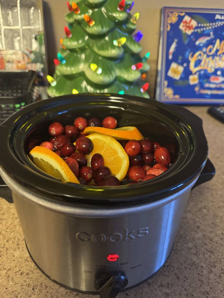 Christmas simmer pot with cranberries and orange. 