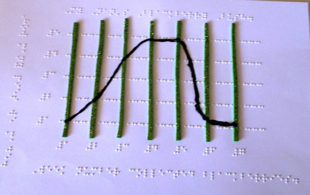 tactile line graph