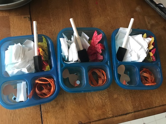 plastic trays containing the supplies needed for the project