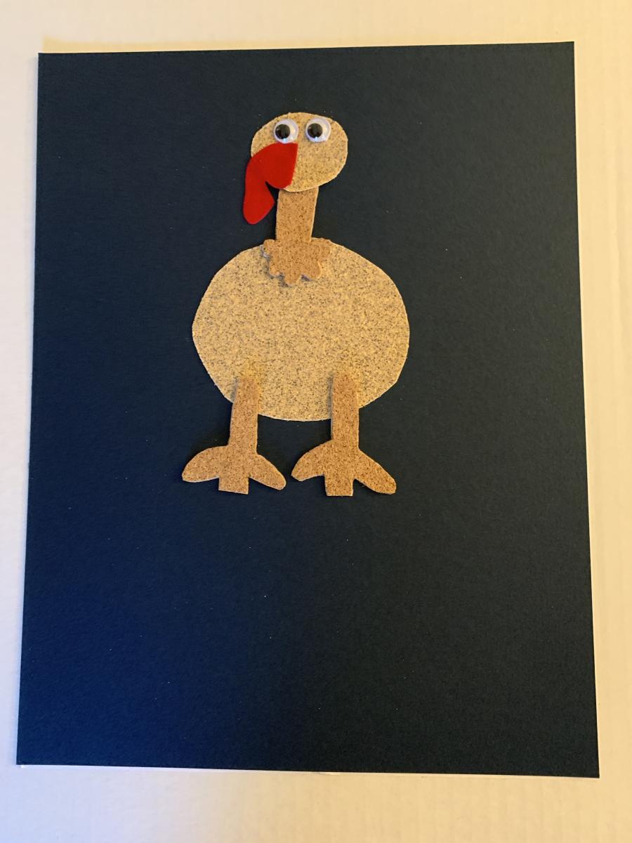Turkey with two eyes