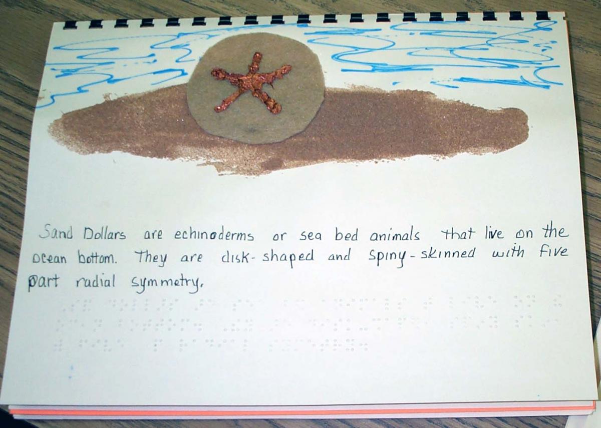 Click to enlarge tactile book about sand dollars. Tide pool tactile book