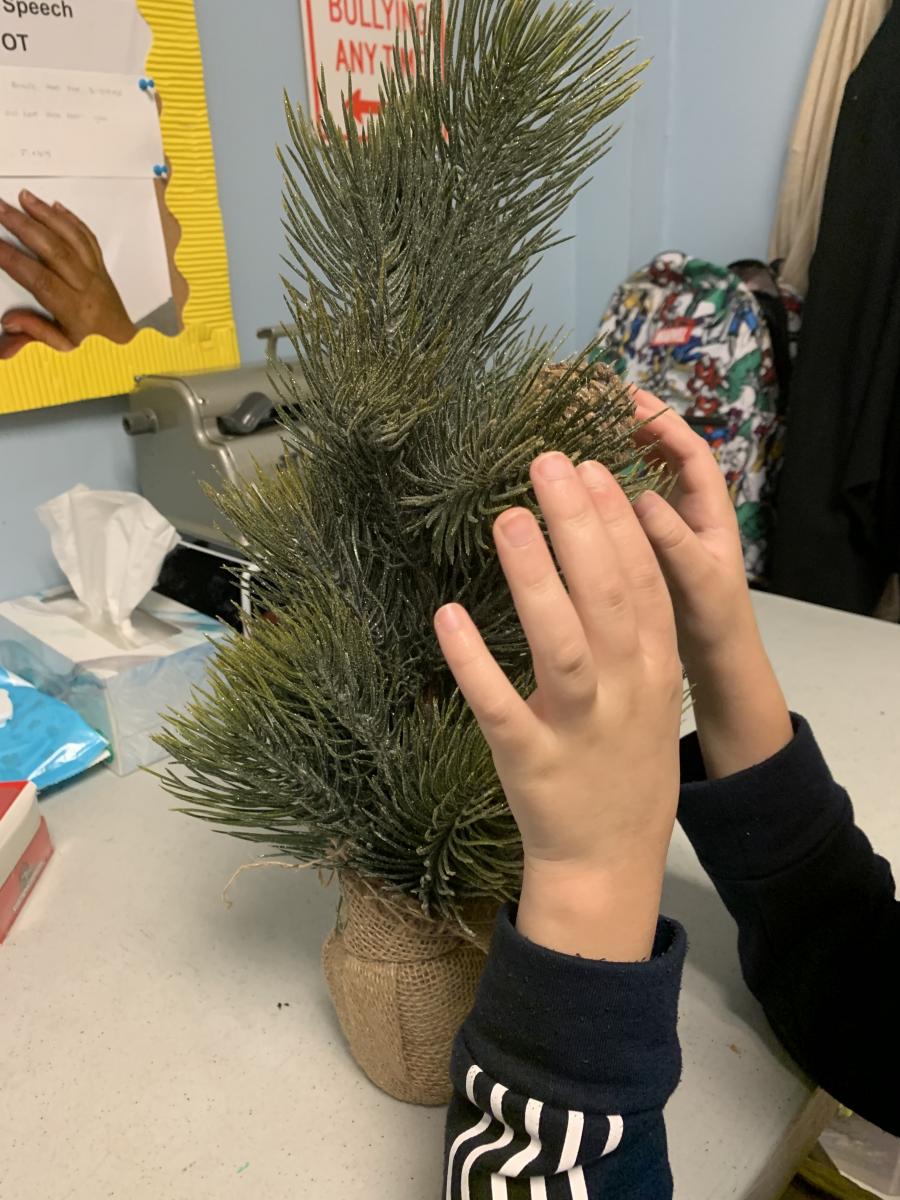 Exploring mini tree Exploring mini tree