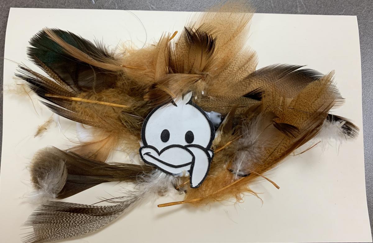 Click to enlarge turkey face with raised tactile line made with PIAF. Turkey face with raised tactile line from PIAF