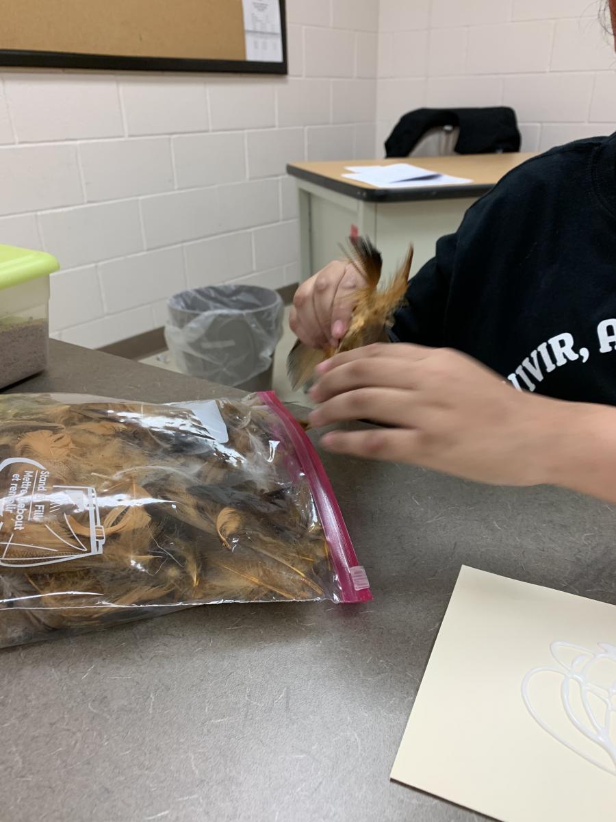 Adding feathers Adding feathers