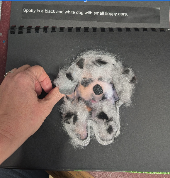 Teacher's hand lifting the tactile, floppy ear of the dog in a page of the book she created. 