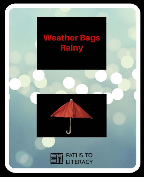 Weather bags rainy Pin.